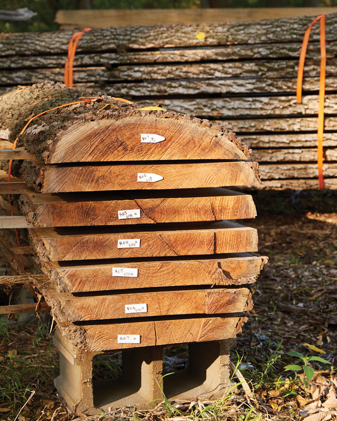 What It Costs to Mill Your Own Logs