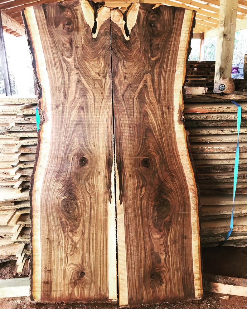Black Walnut Slabs