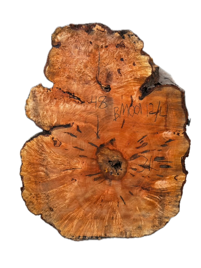 Maple Burl