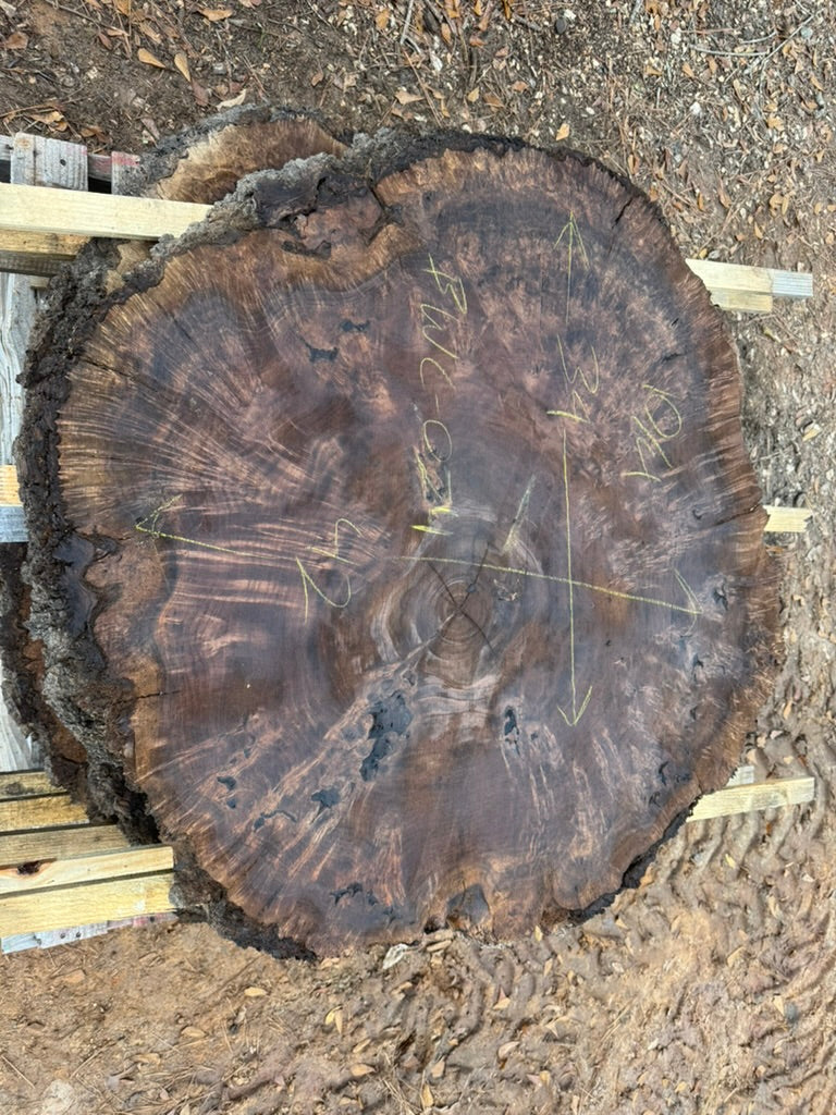 Claro Walnut Burl