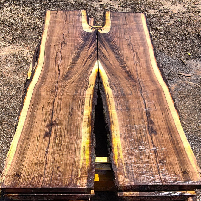 Black walnut live edge slab