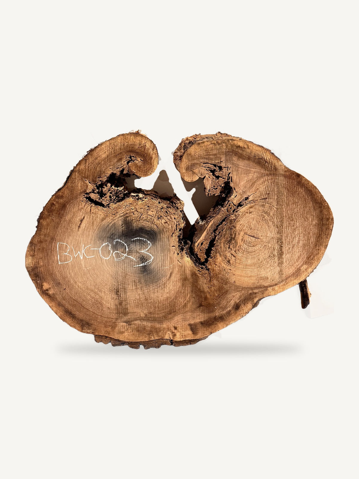 Black Walnut Cookie BWC-023 - 44in L x 32in W x 5in T