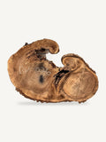 Black Walnut Cookie BWC-026, front face