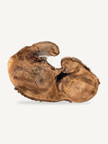 Black Walnut Cookie BWC-027, front face