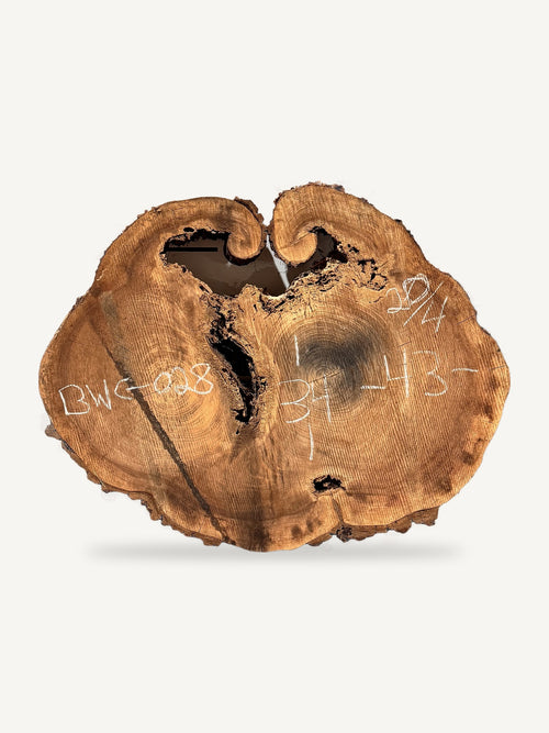 Black Walnut Cookie BWC-028, back face with chalked dimensions