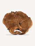 Black Walnut Cookie BWC-030, front face