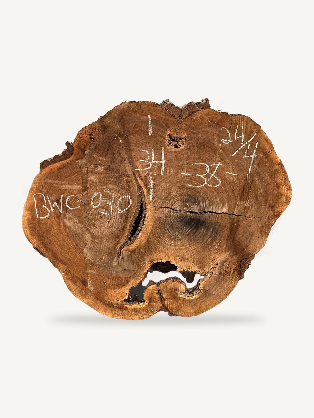 Black Walnut Cookie BWC-030, back face with chalked dimensions