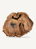Black Walnut Cookie BWC-031, front face