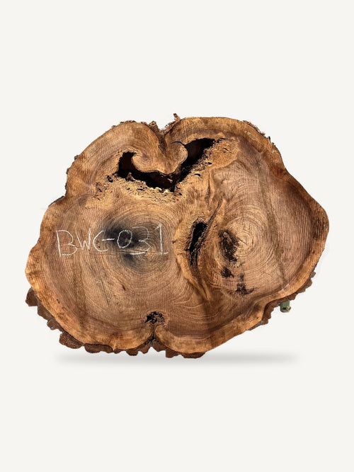 Black Walnut Cookie BWC-031, front face