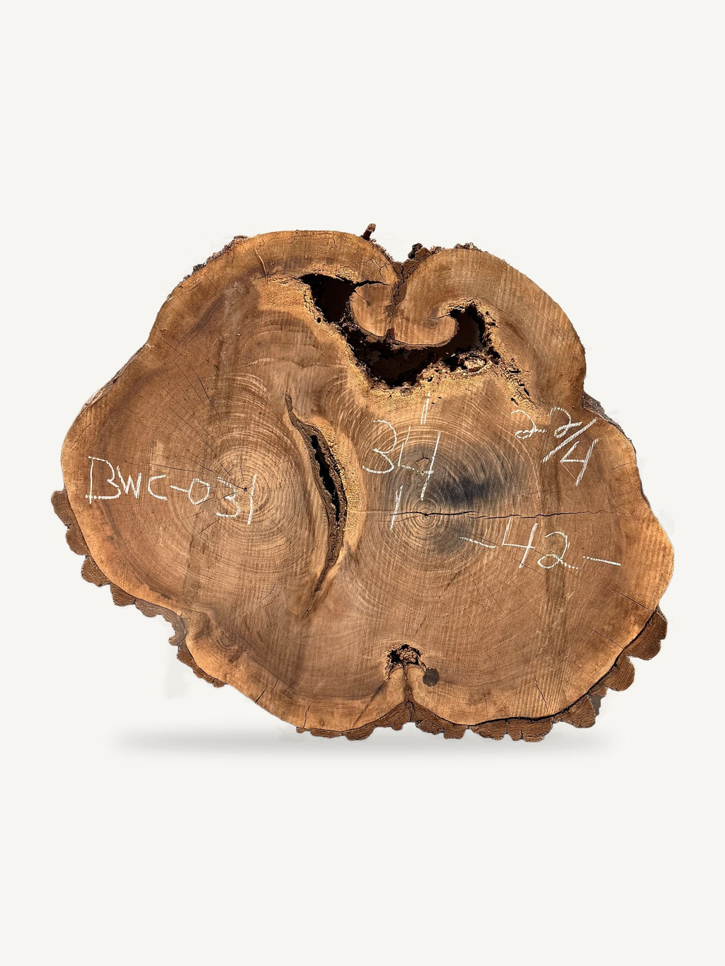 Black Walnut Cookie BWC-031, back face with chalked dimensions