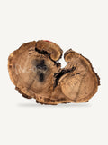 Black Walnut Cookie BWC-032, front face