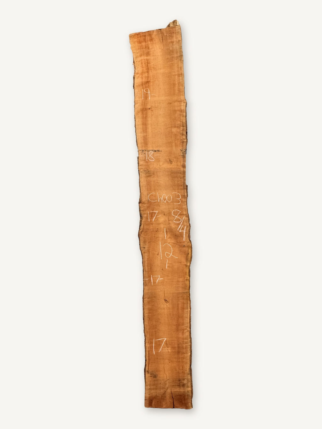 Cherry live edge slab CH003, back face with chalked dimensions