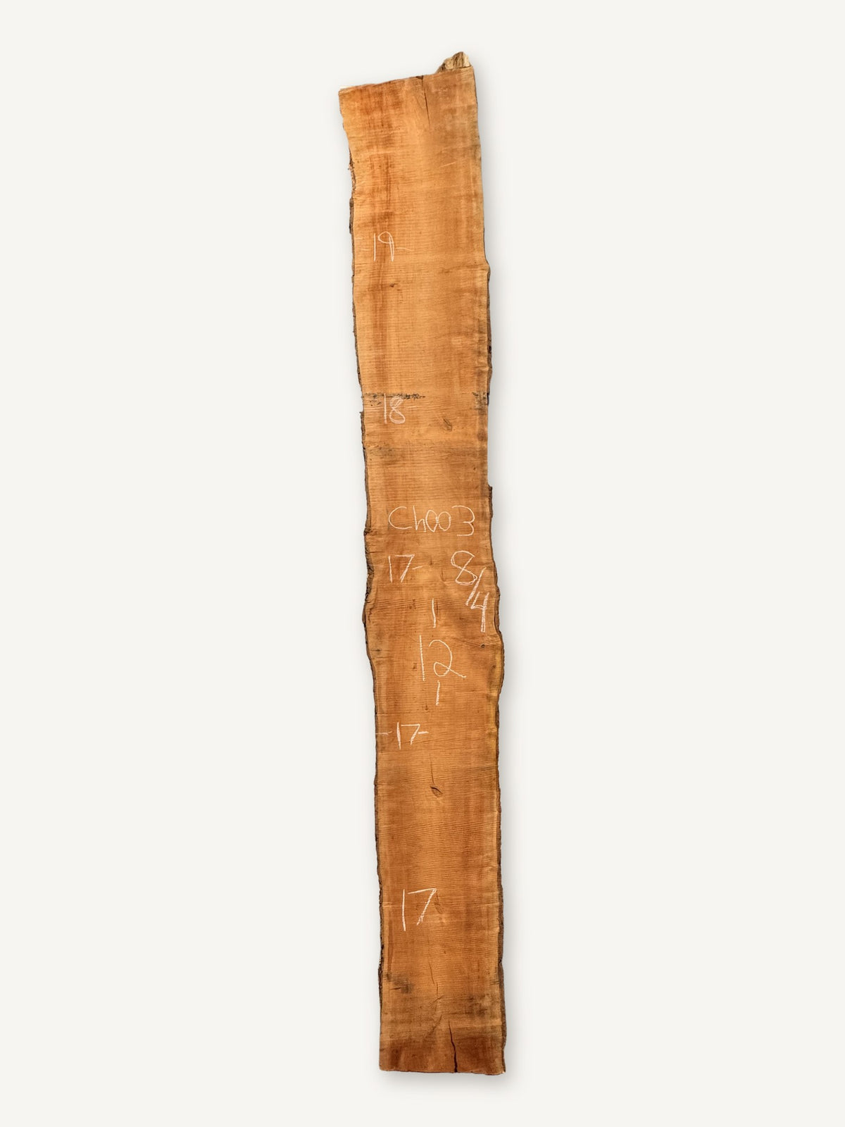 Cherry live edge slab CH003, back face with chalked dimensions