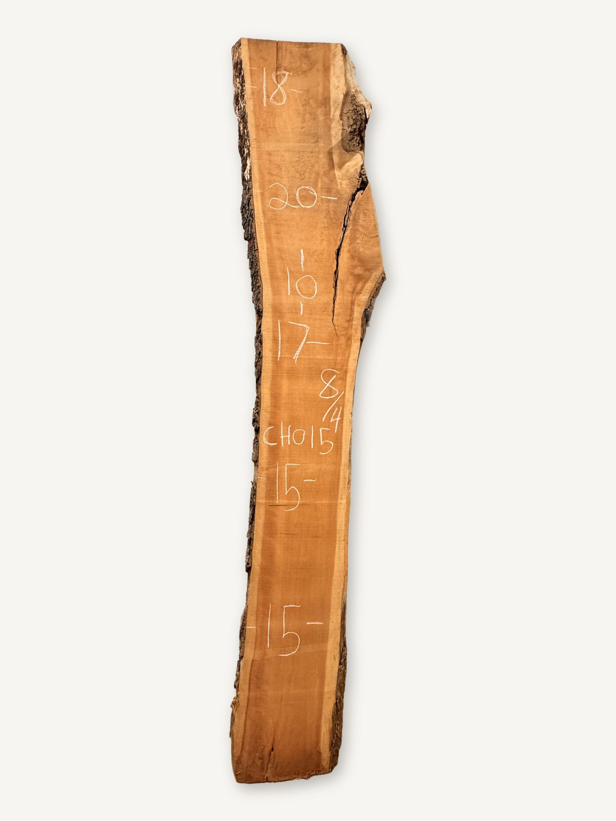 Cherry live edge slab CH015, back face with chalked dimensions