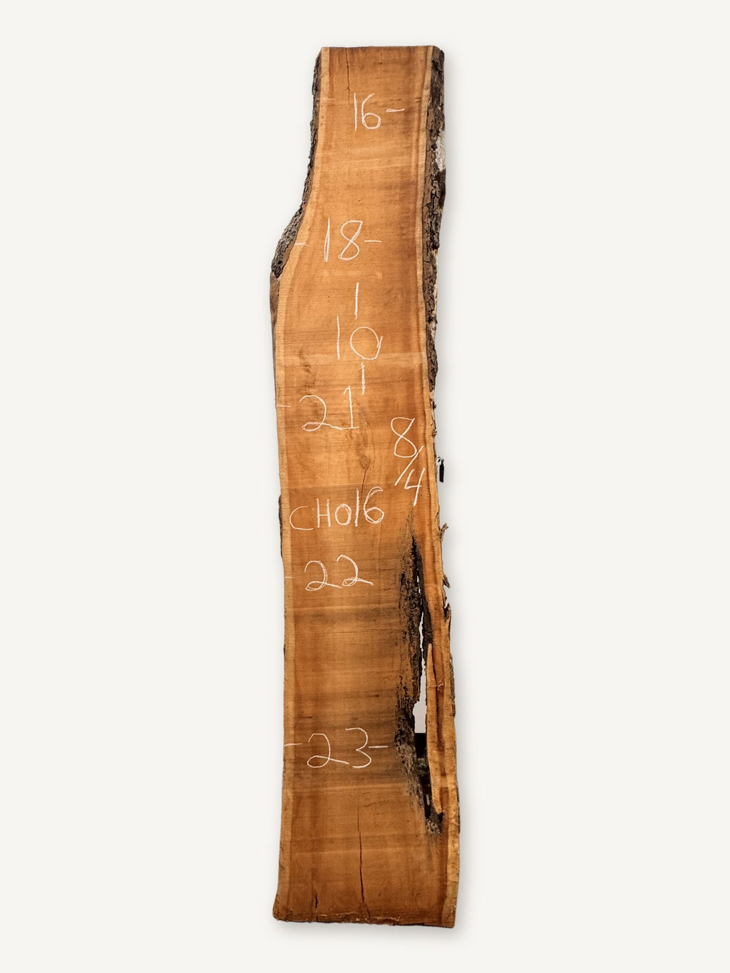 Cherry live edge slab CH016, back face with chalked dimensions