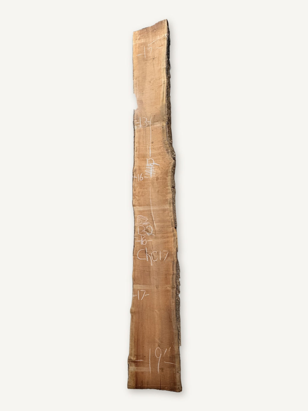 Cherry live edge slab CH017, back face with chalked dimensions
