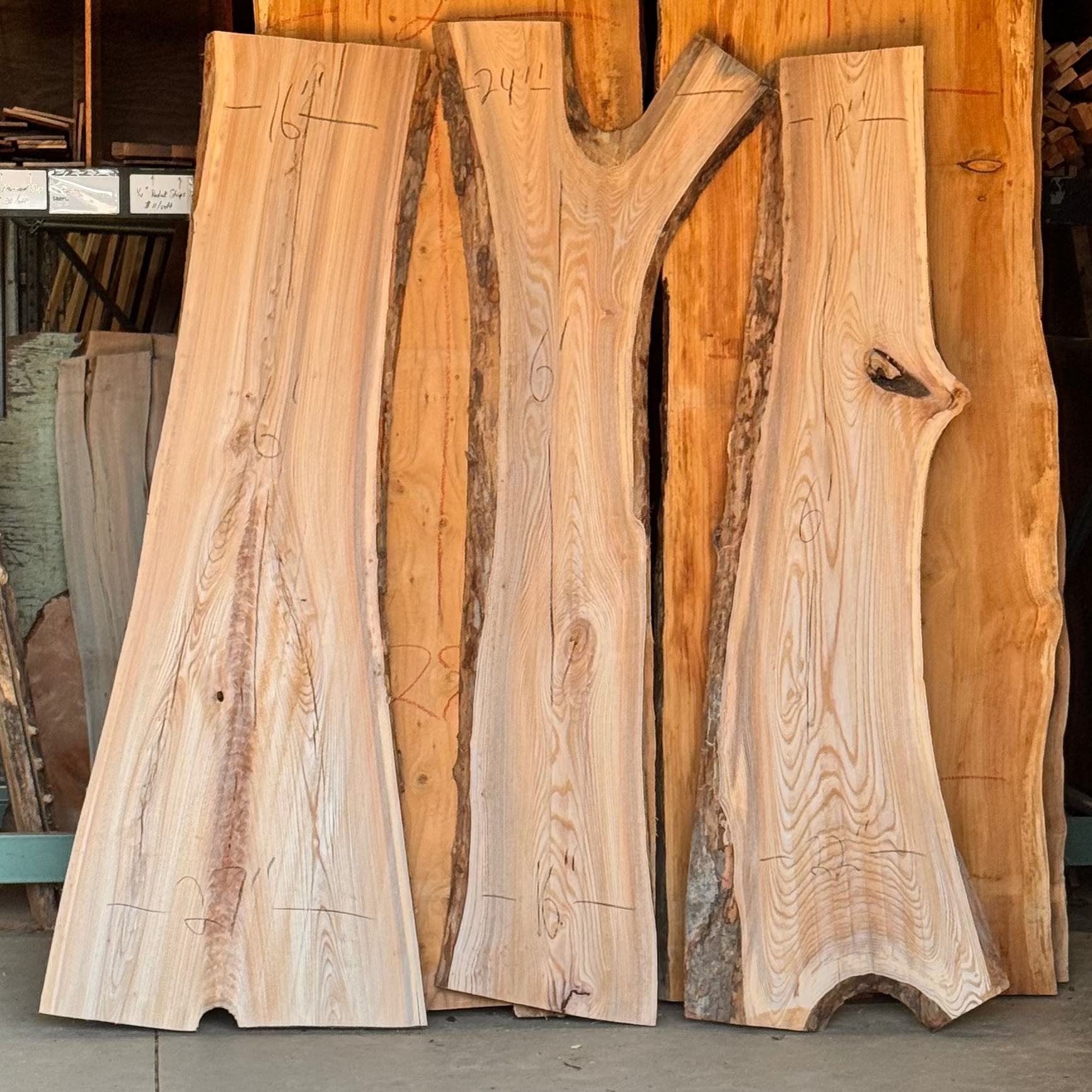 Locally salvaged live edge elm slab