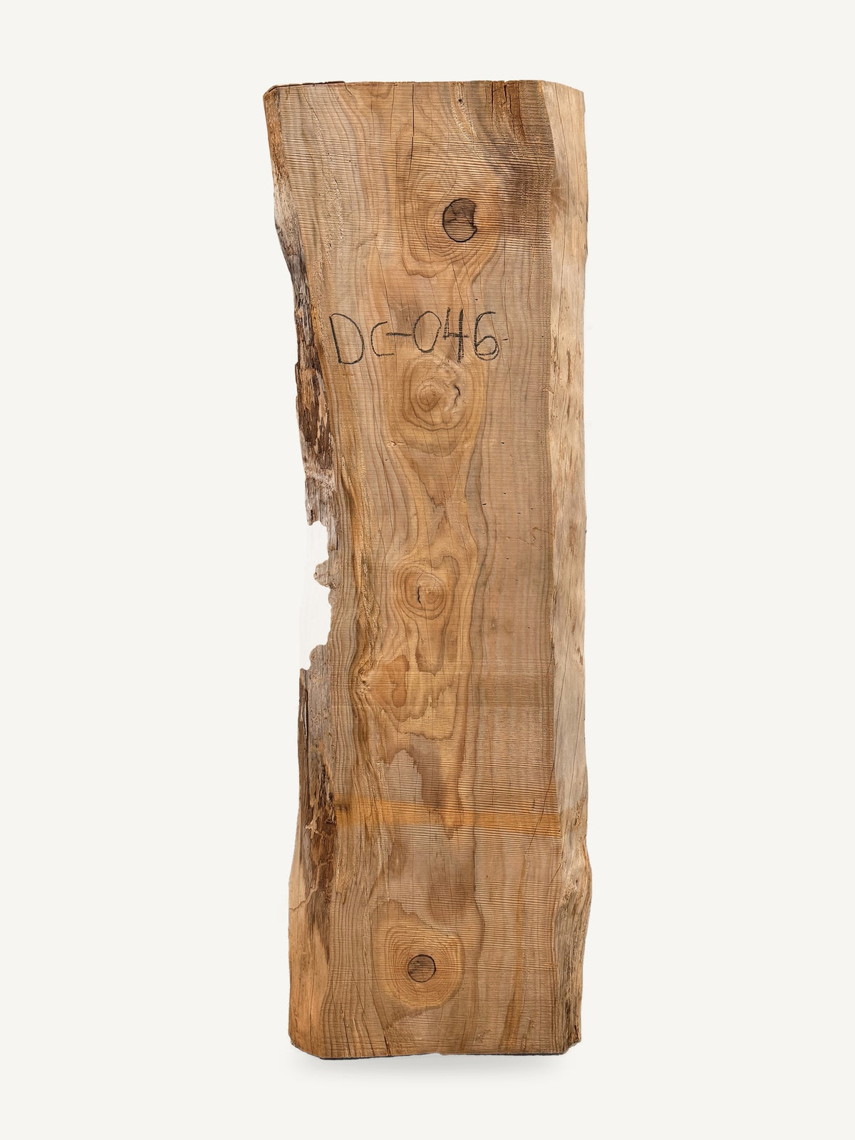 Deodar cedar live edge slab DC-046, front face