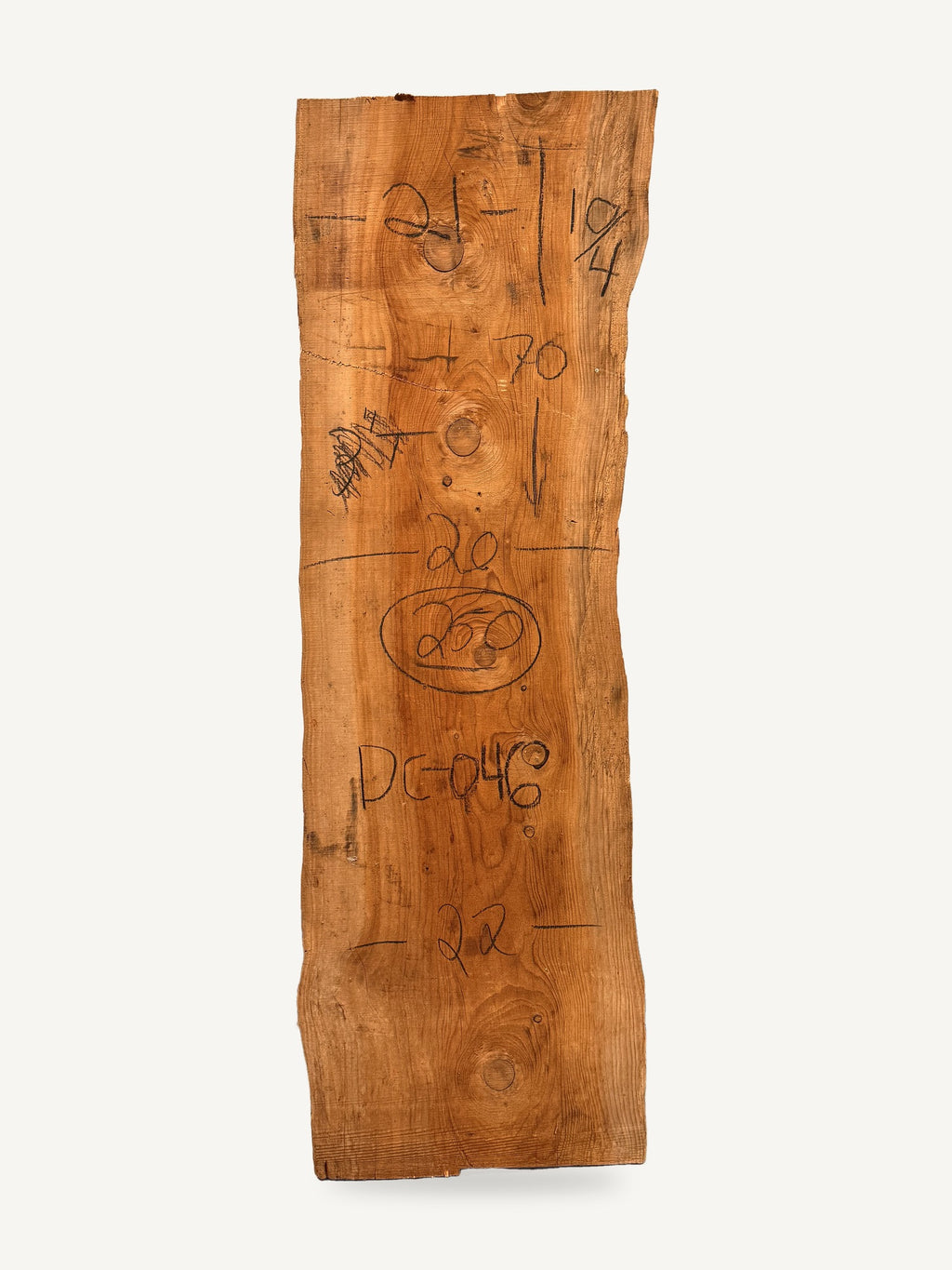 Deodar cedar live edge slab DC-046, back face with chalked dimensions