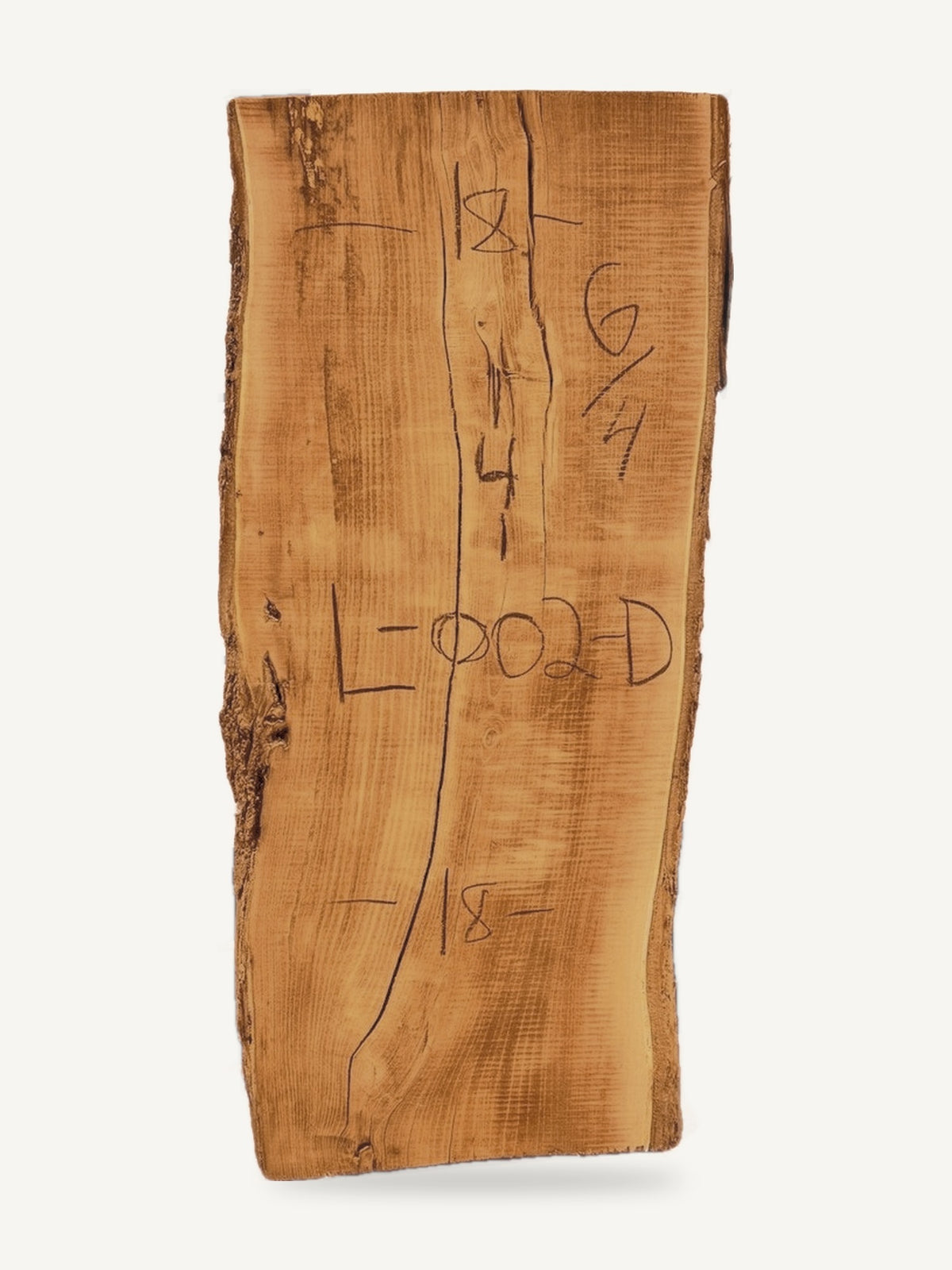 Locust live edge slab L-002-D, back face with chalked dimensions