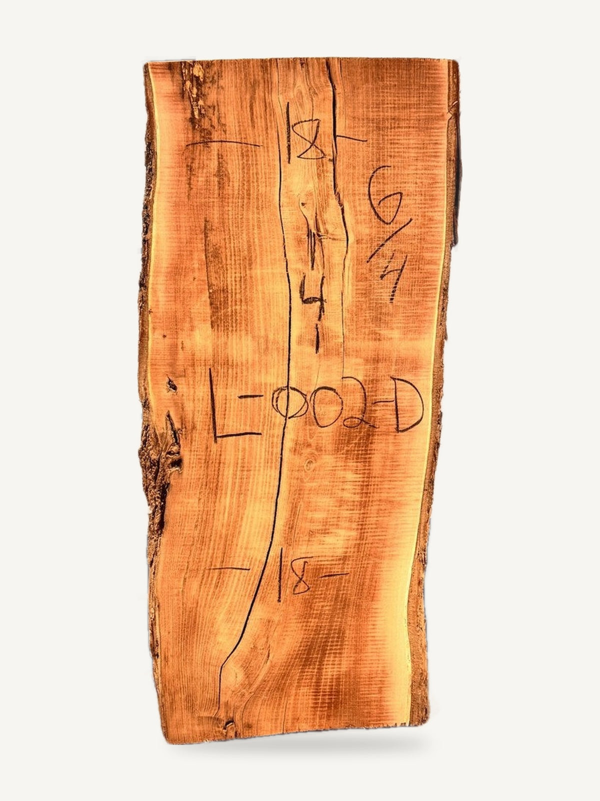 Locust live edge slab L-002-D, back face with chalked dimensions