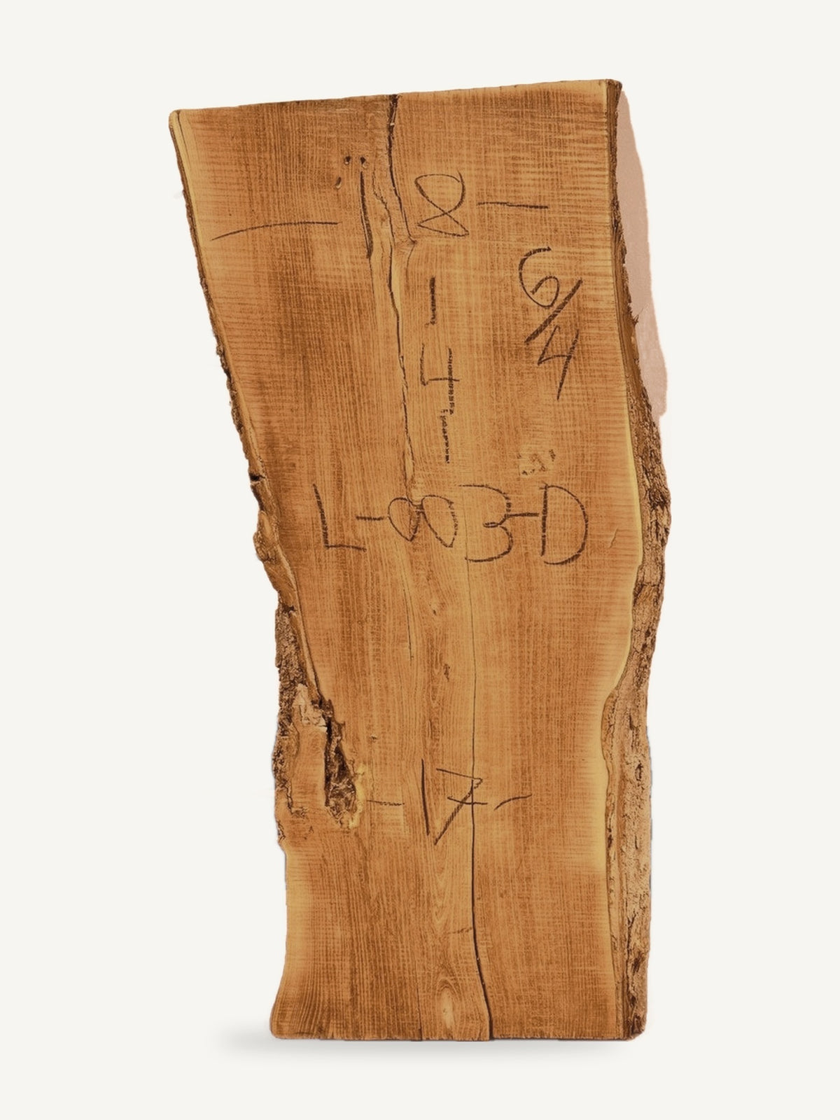 Locust live edge slab L-003-D, back face with chalked dimensions