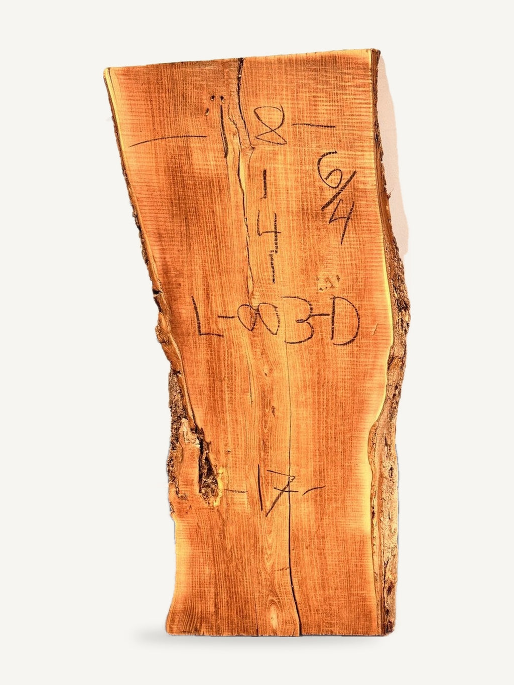Locust live edge slab L-003-D, back face with chalked dimensions