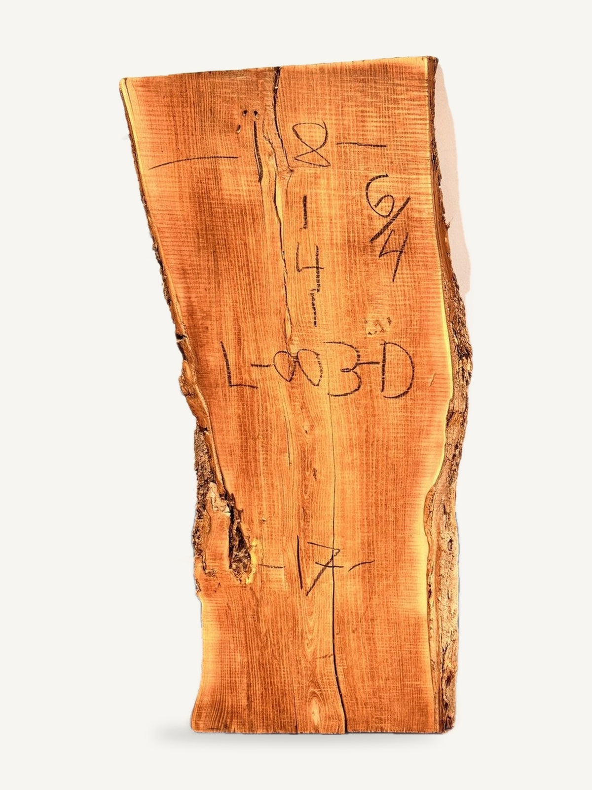 Locust live edge slab L-003-D, back face with chalked dimensions
