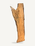Maple live edge slab MA-002-D, front face