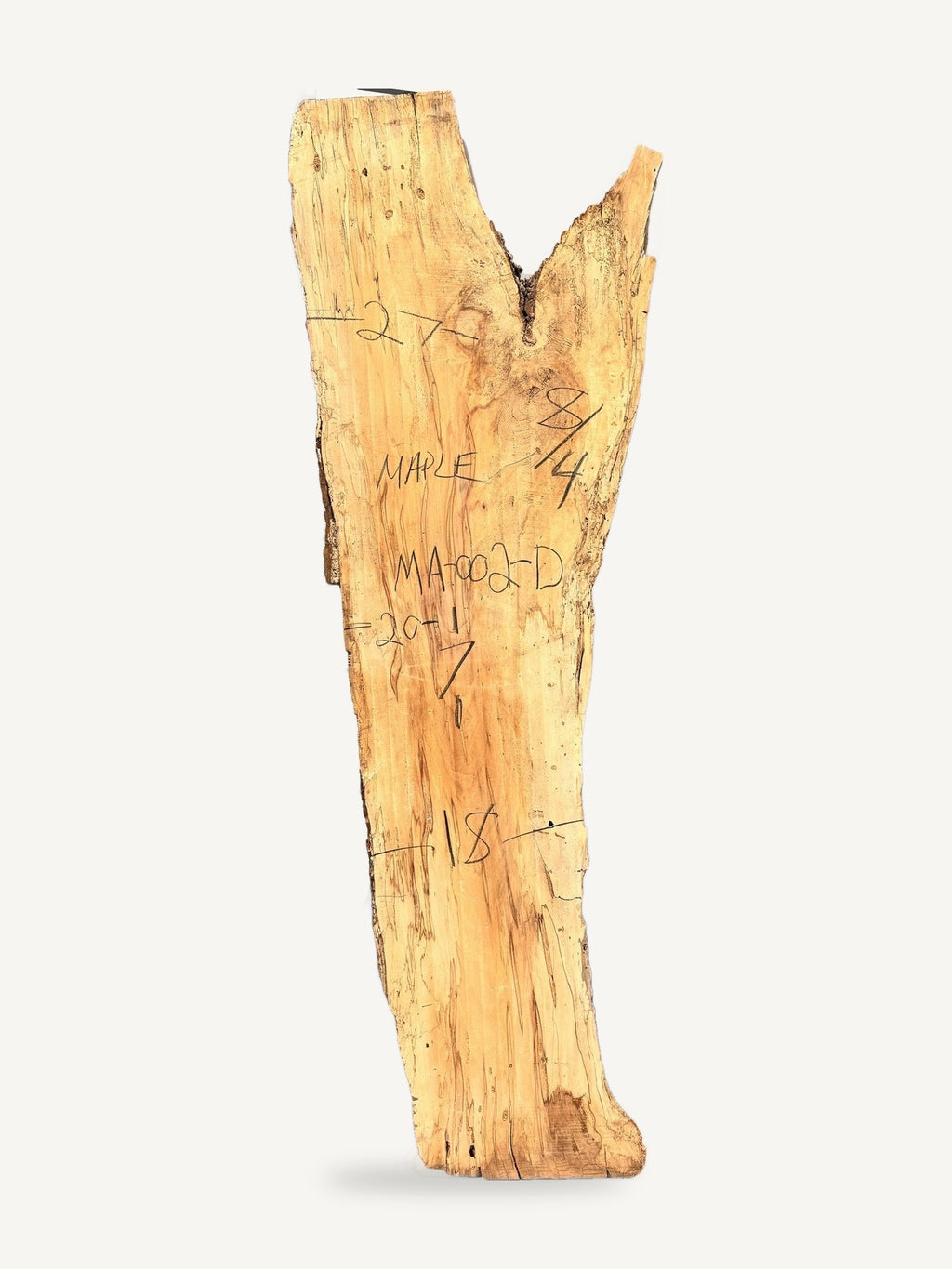 Maple live edge slab MA-002-D, back face with chalked dimensions