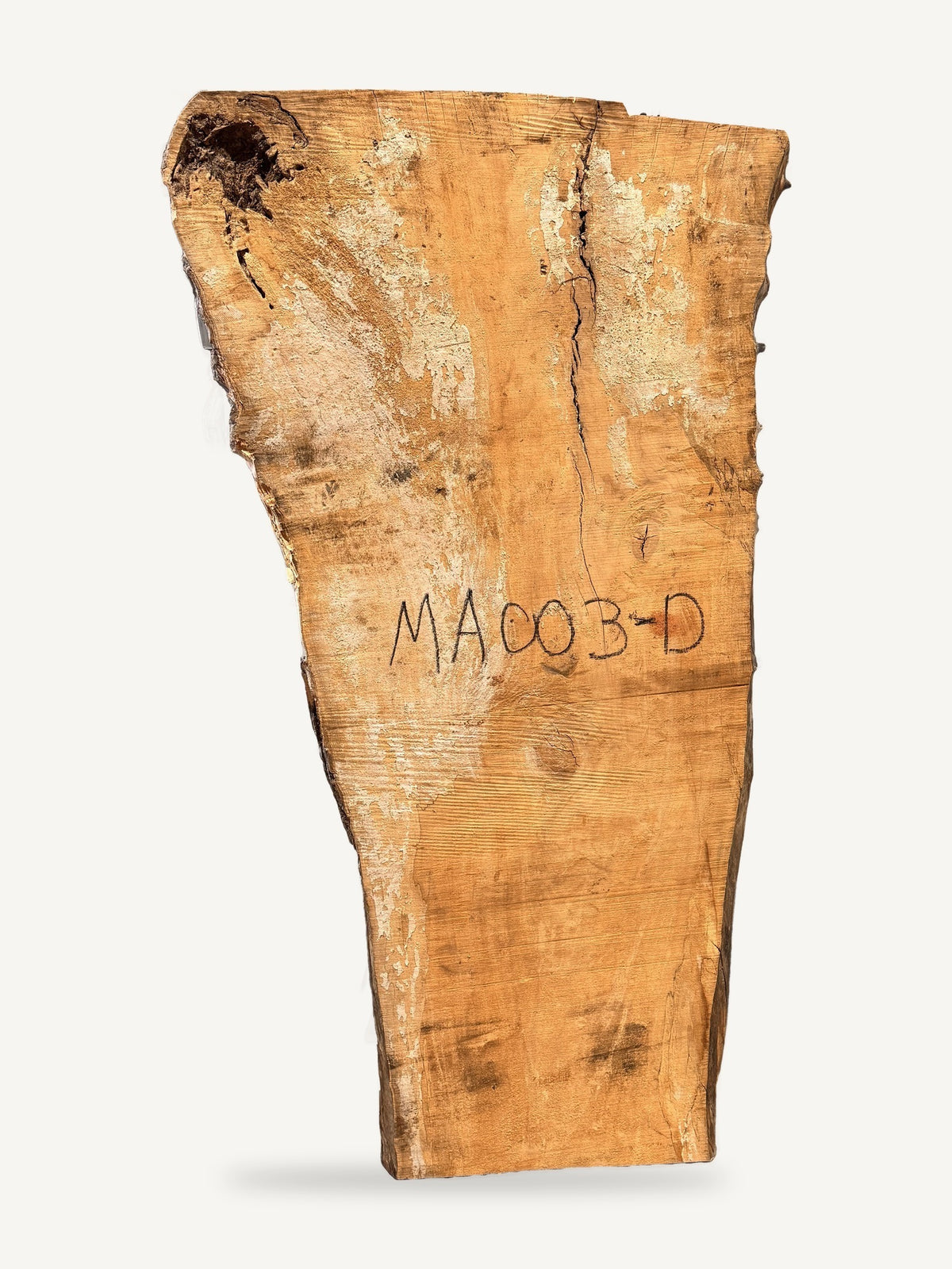 Maple live edge slab MA-003-D, front face