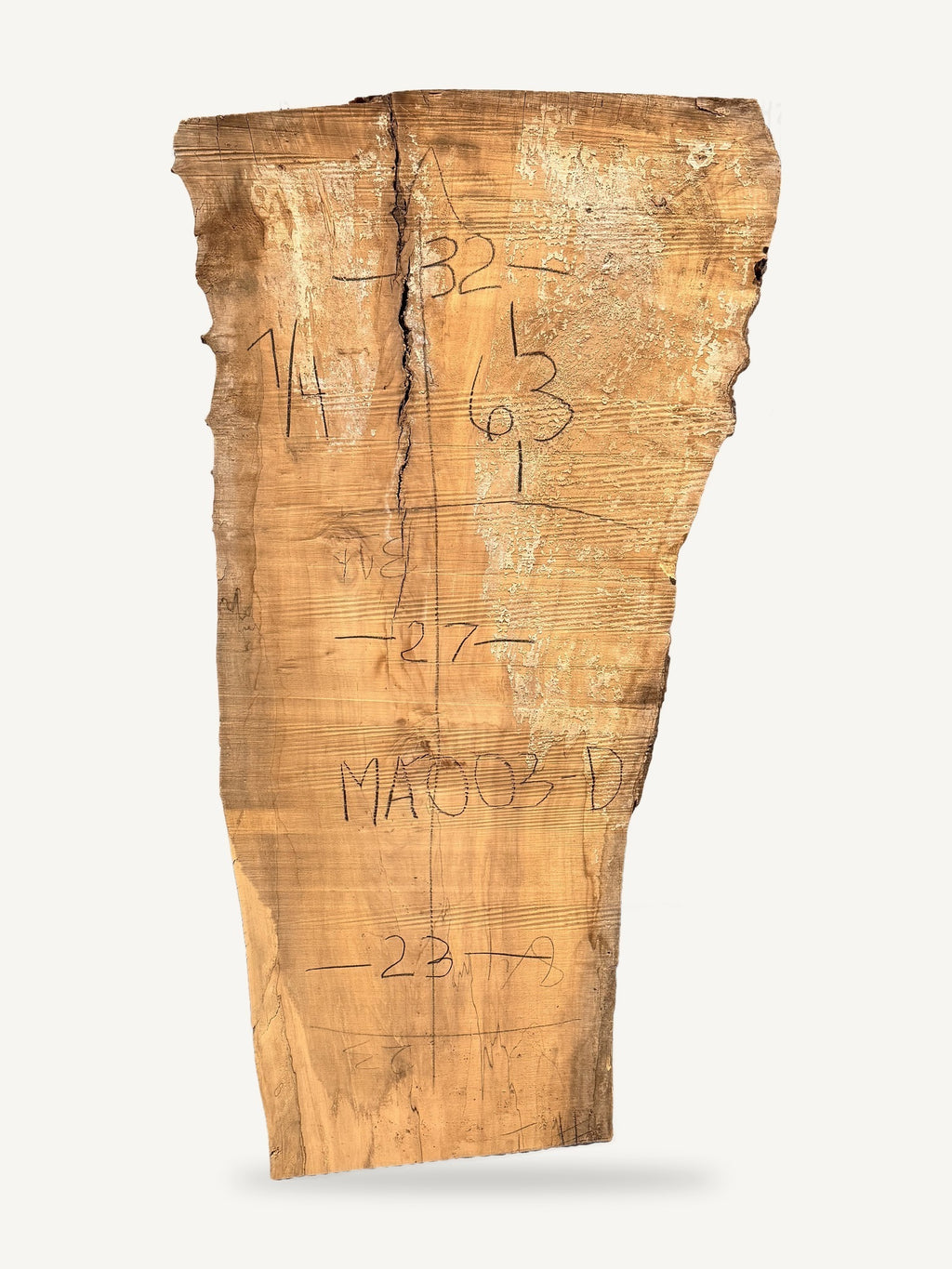 Maple live edge slab MA-003-D, back face with chalked dimensions