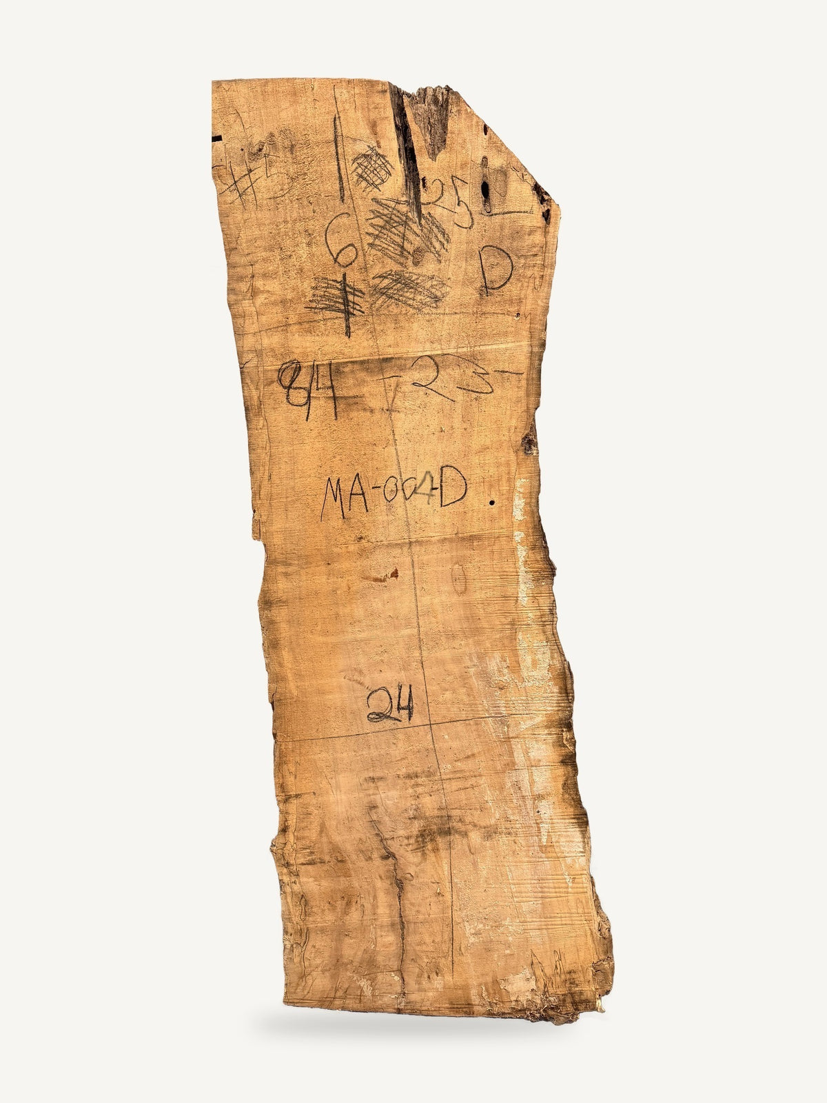 Maple live edge slab MA-004-D, back face with chalked dimensions