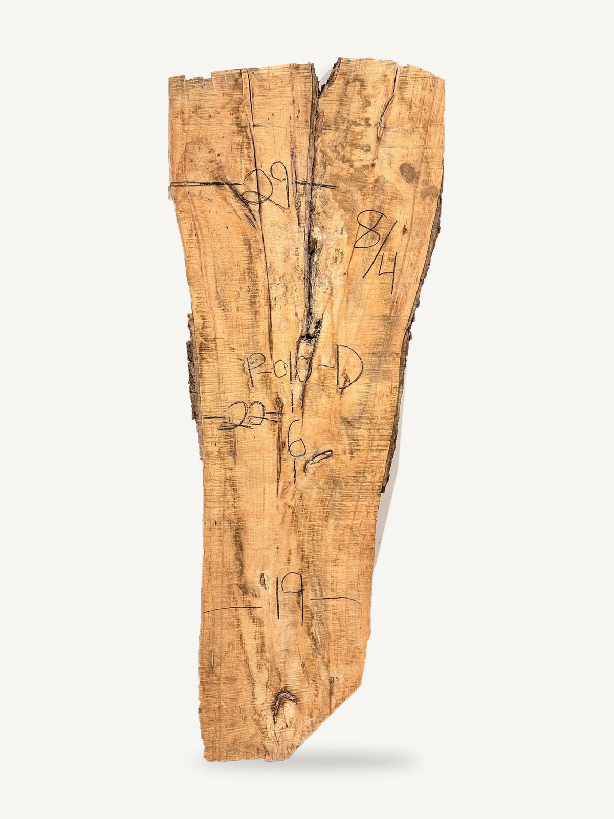Pecan live edge slab P-010-D, back face with chalked dimensions