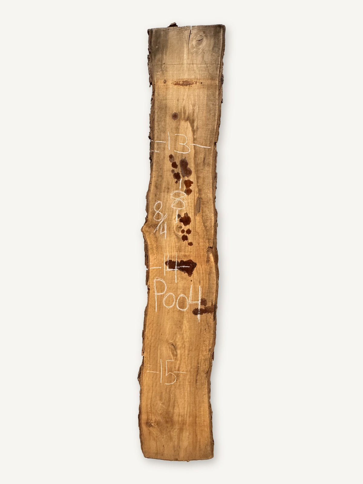 Pecan live edge slab P004, back face with chalked dimensions