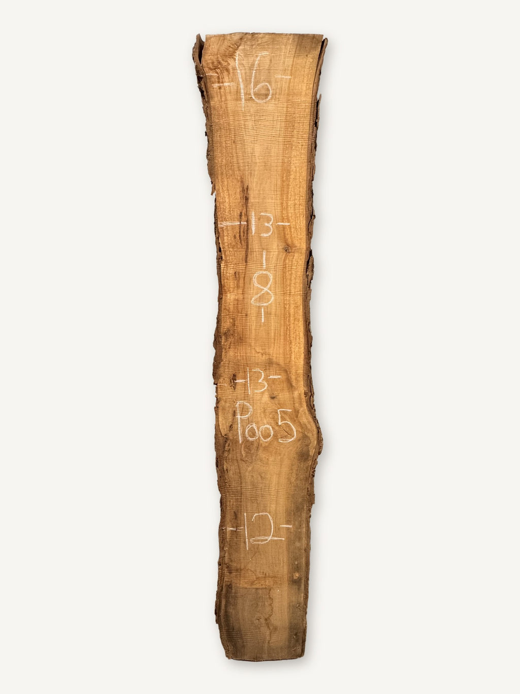 Pecan live edge slab P005, back face with chalked dimensions