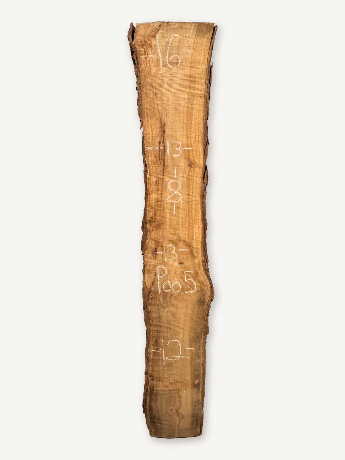 Pecan live edge slab P005, back face with chalked dimensions