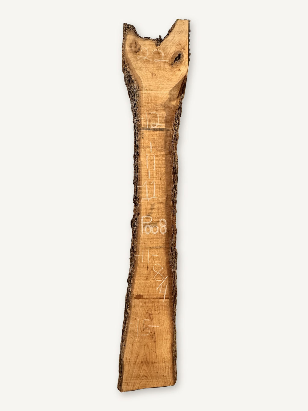 Pecan live edge slab P008, back face with chalked dimensions