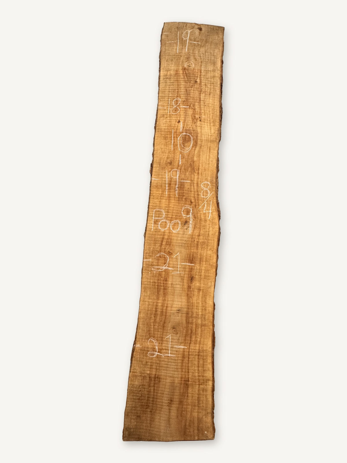 Pecan live edge slab P009, back face with chalked dimensions