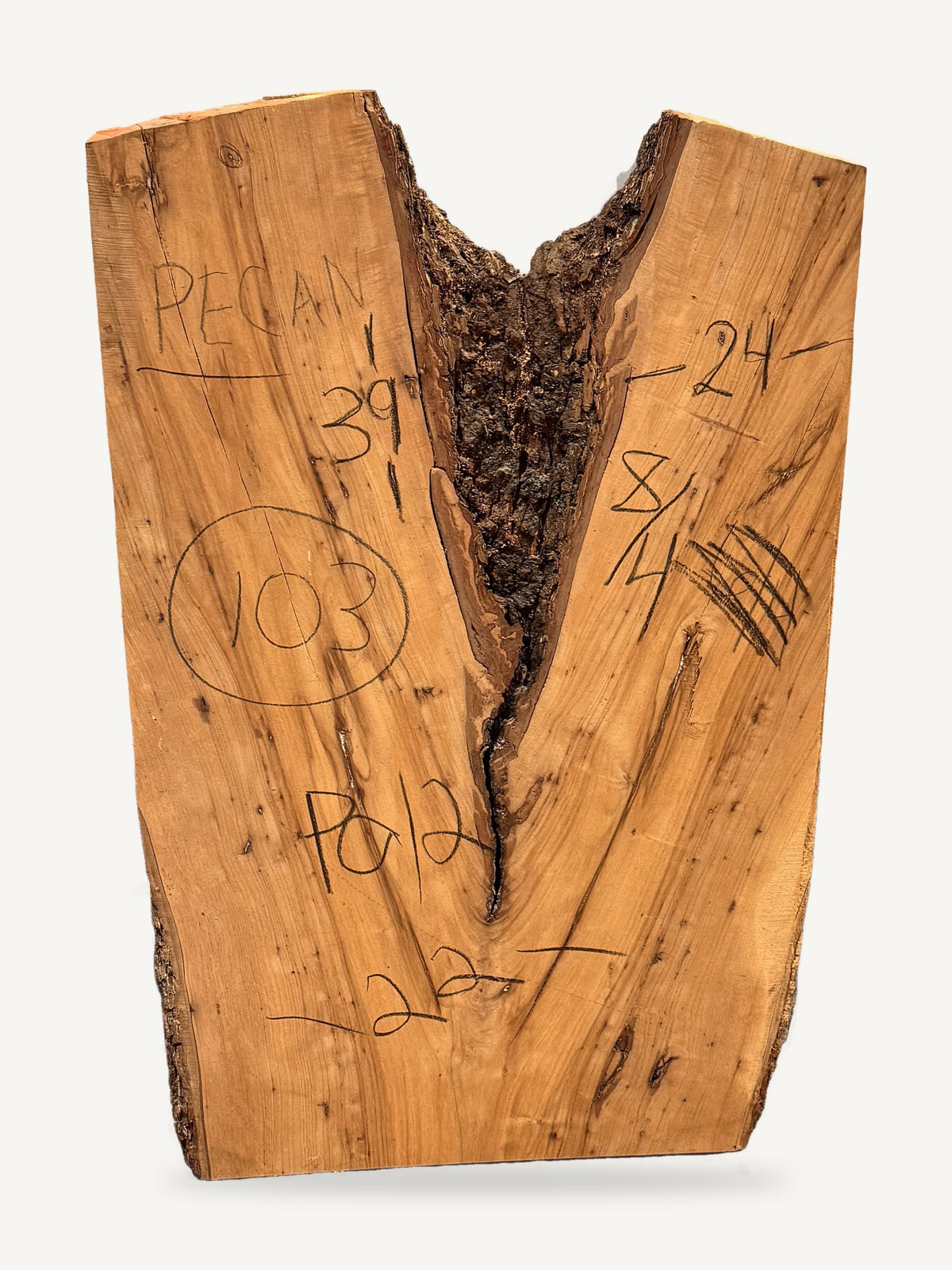 Pecan live edge slab P012, back face with chalked dimensions