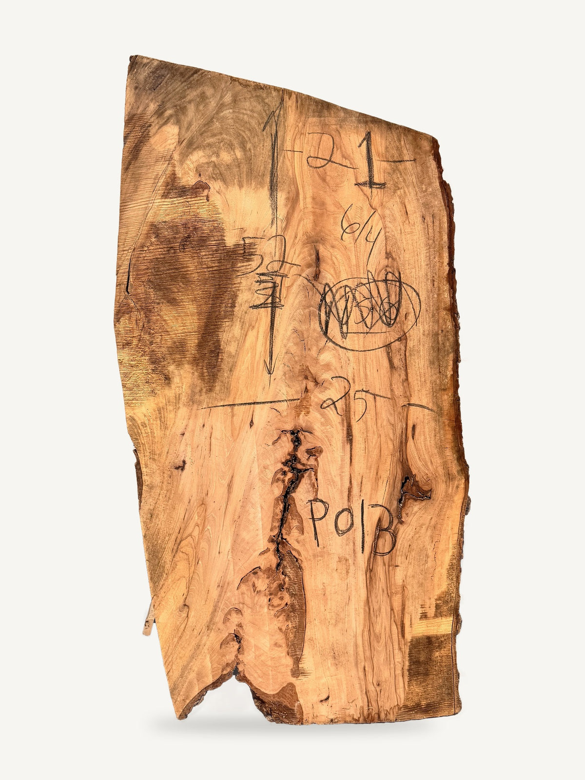 Pecan live edge slab P013, back face with chalked dimensions