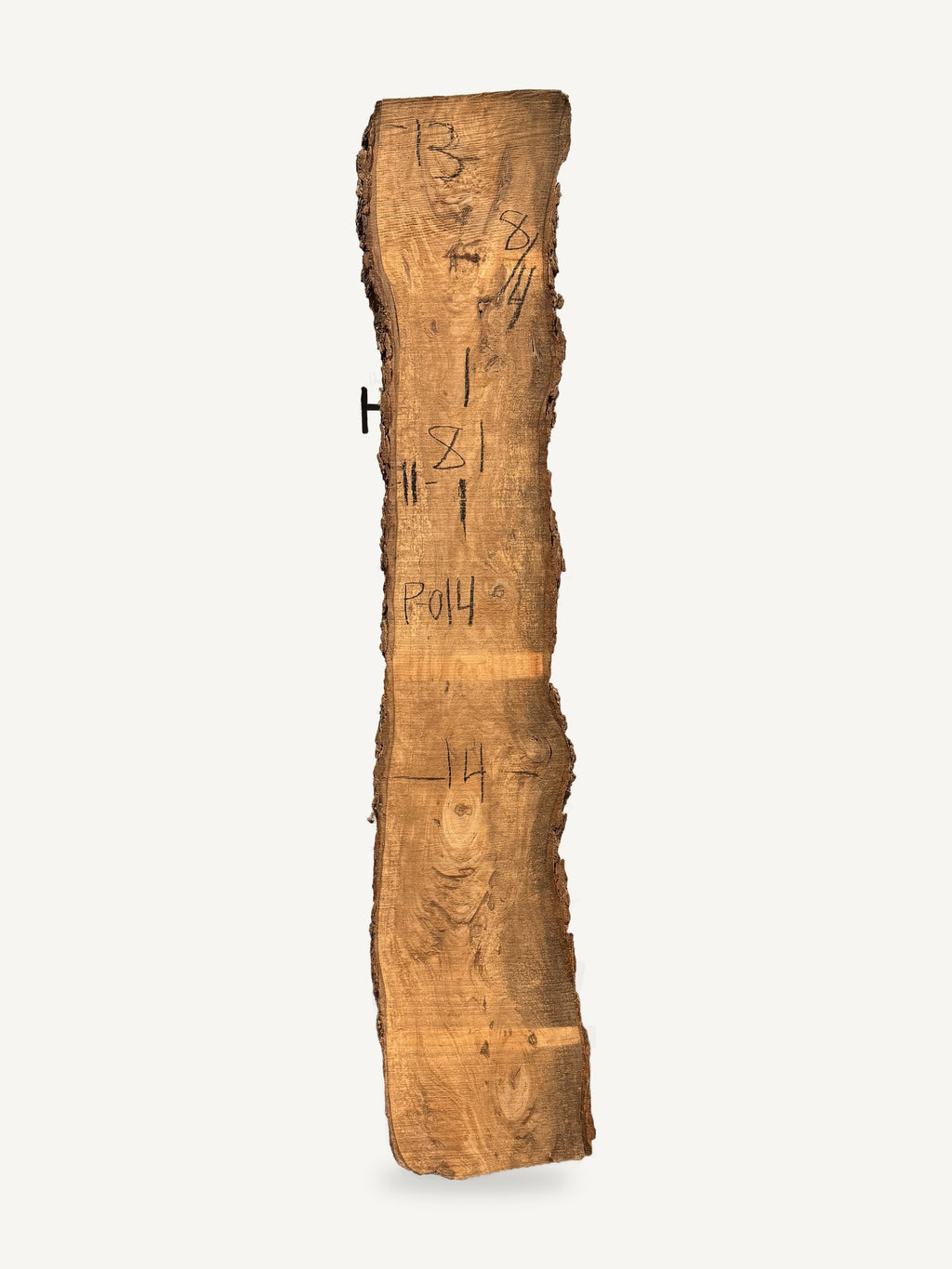 Pecan live edge slab P014, back face with chalked dimensions