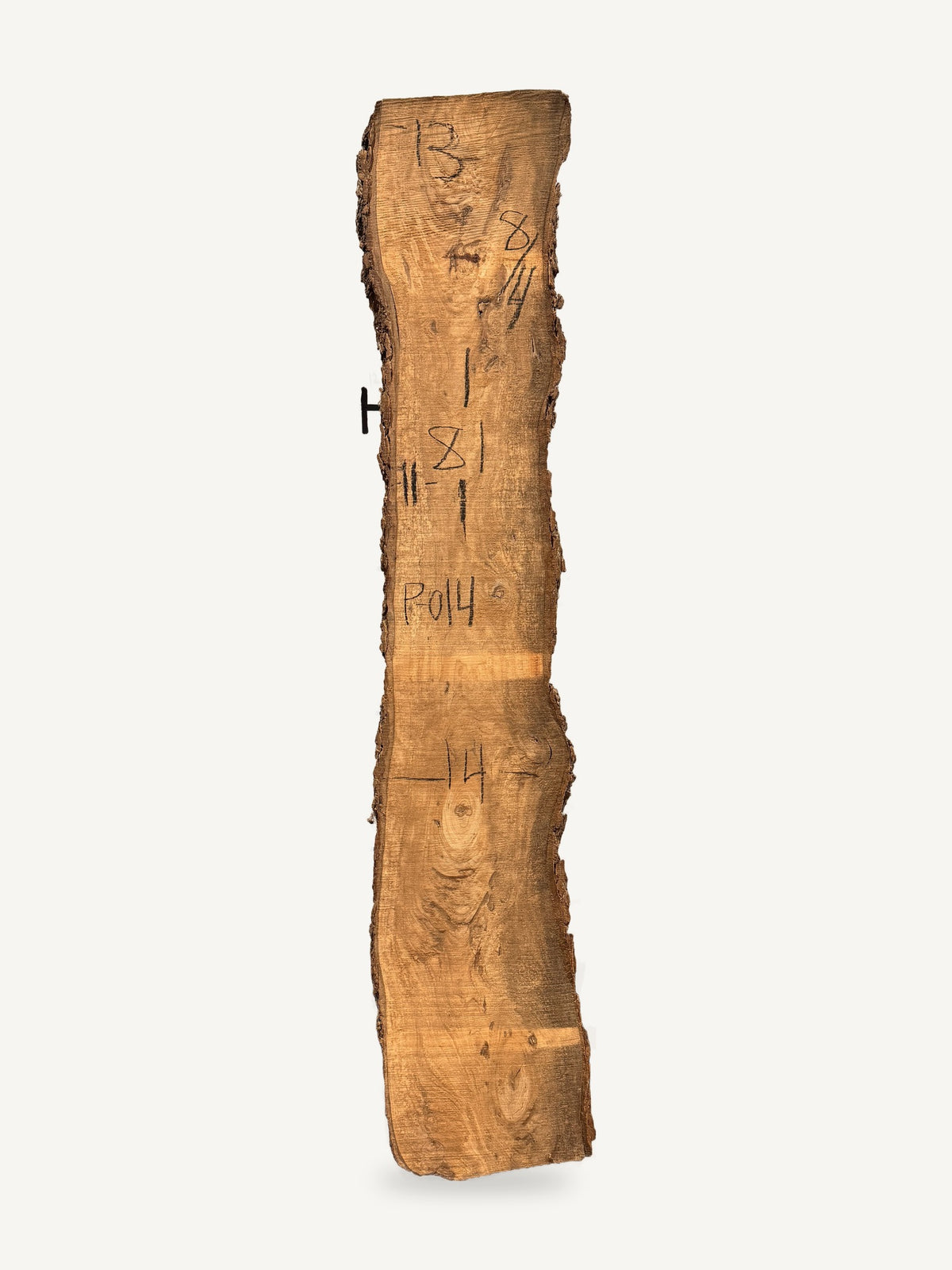 Pecan live edge slab P014, back face with chalked dimensions