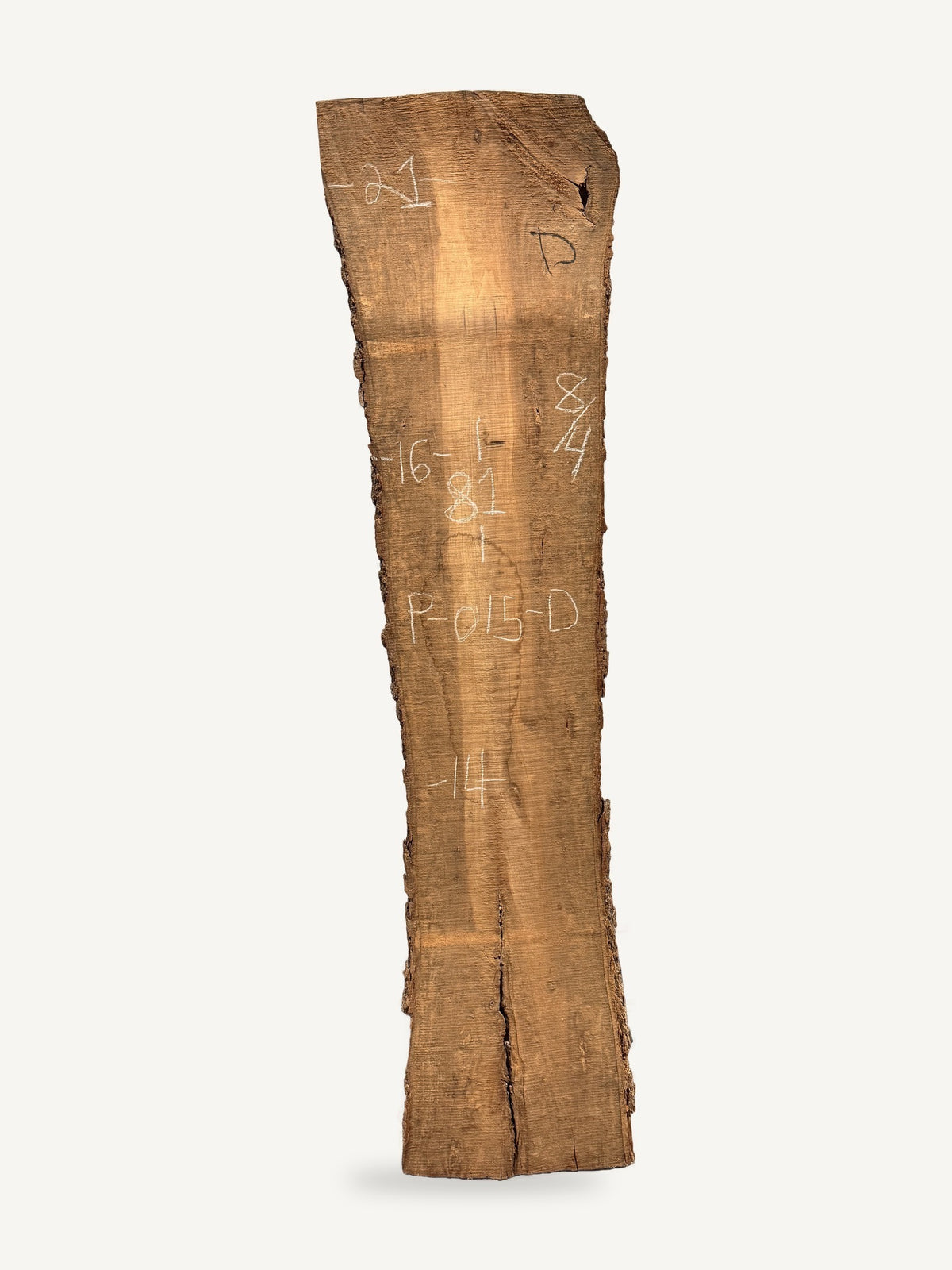 Pecan live edge slab P015-D, back face with chalked dimensions