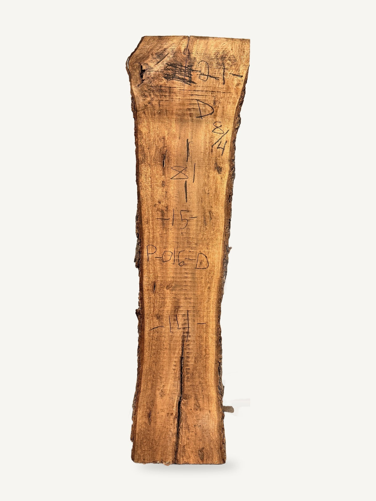 Pecan live edge slab P016-D, back face with chalked dimensions