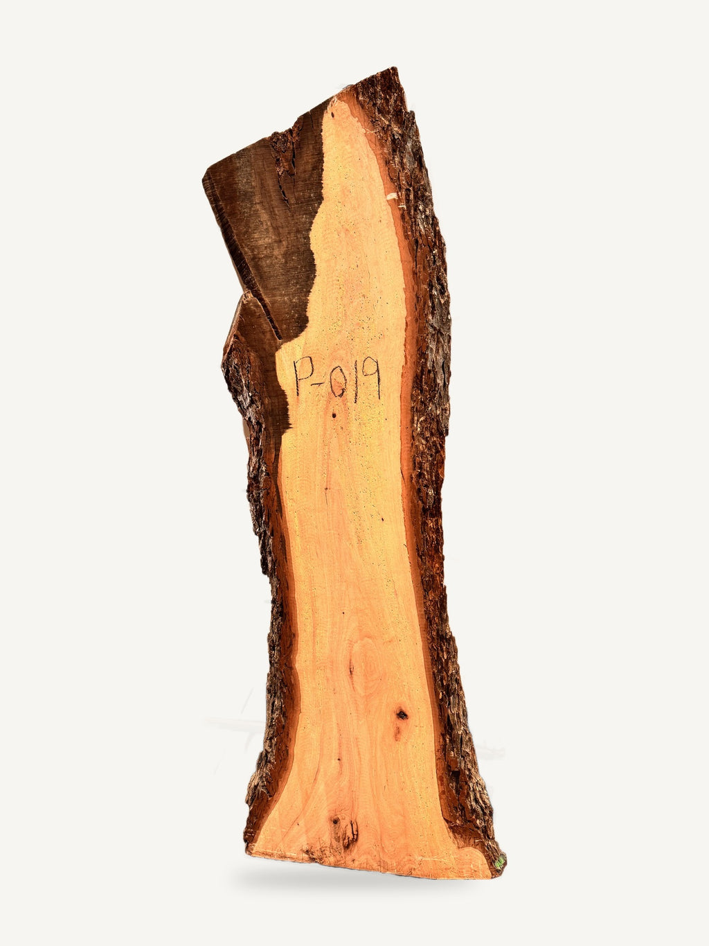 Pecan live edge slab P019, front face