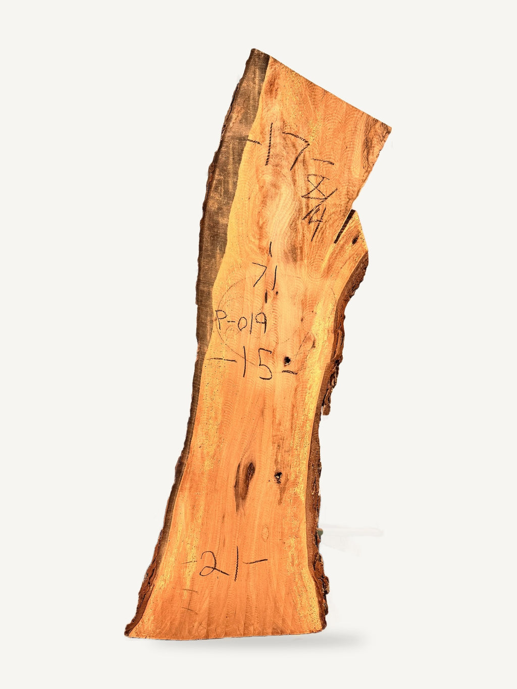 Pecan live edge slab P019, back face with chalked dimensions