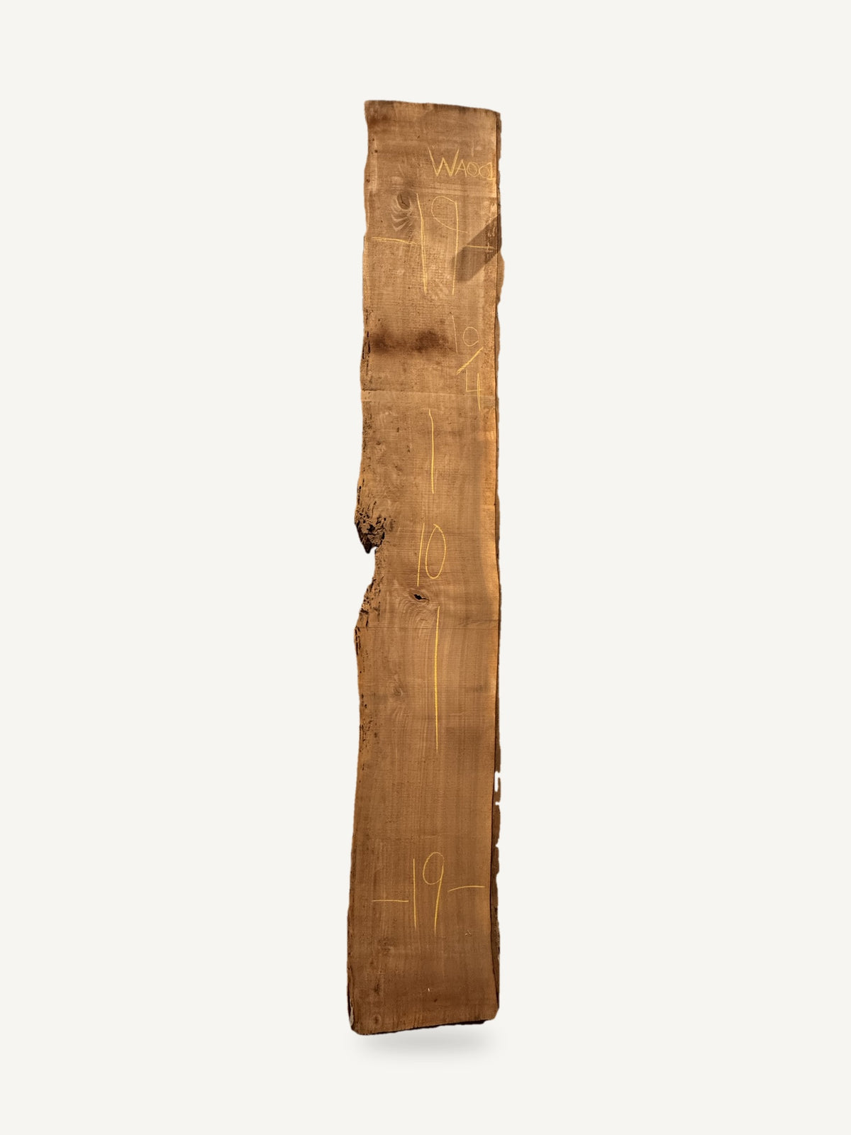 Black walnut live edge slab WA001, back face with chalked dimensions