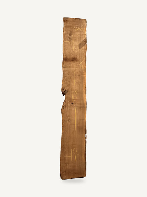 Black walnut live edge slab WA001, back face with chalked dimensions