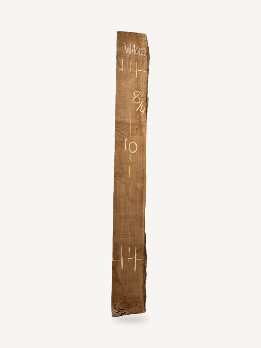 Black walnut live edge slab WA002, back face with chalked dimensions